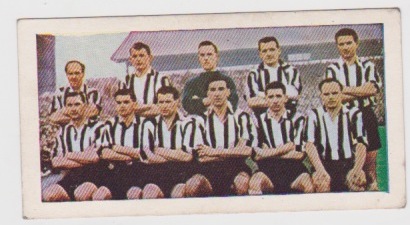 Bubble Gum team squad 1956