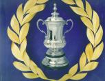 Centenary FAC coin set